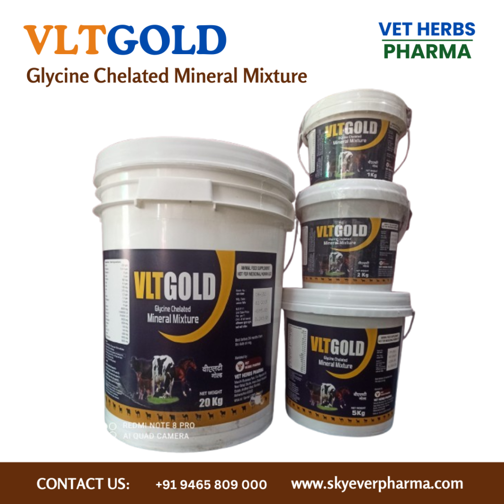 VLT GOLD – best veterinary mineral mixture to improve milk production and animal health